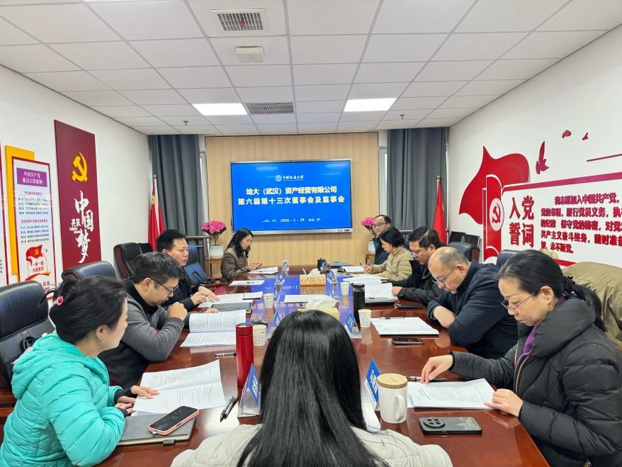 第六届第十三次董事会1